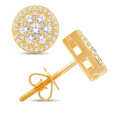 10K Gold Diamond Stud Earring